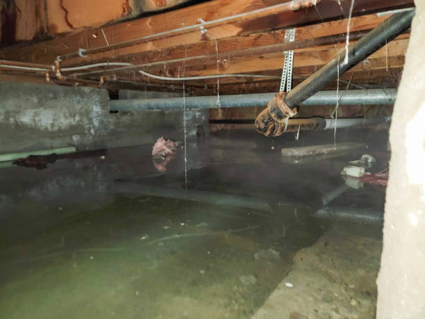 Best Flood damage cleanup  in Angier, NC