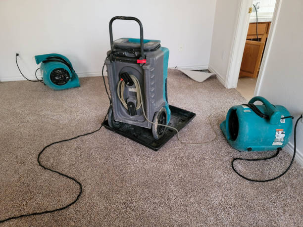 Best Professional water damage repair  in Angier, NC
