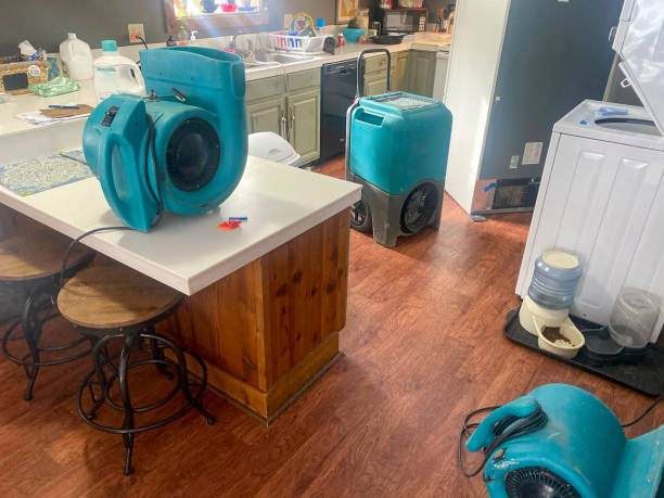 Best Flooded house restoration  in Angier, NC