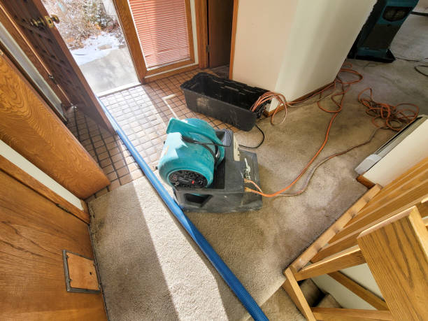 Best Water damage contractors near me  in Angier, NC