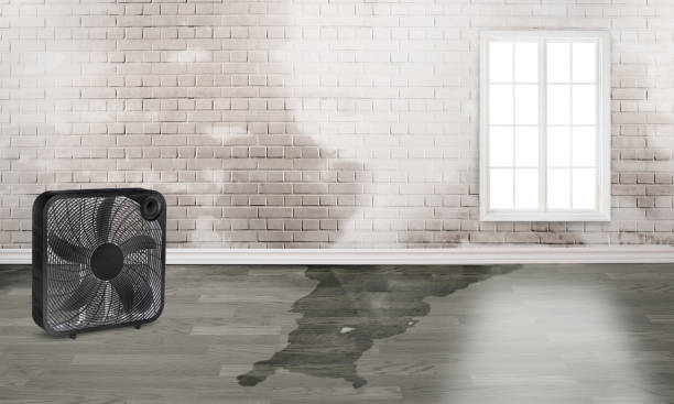 Best Fire Damage Restoration  in Angier, NC