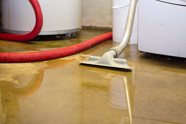 Best Water damage restoration services  in Angier, NC