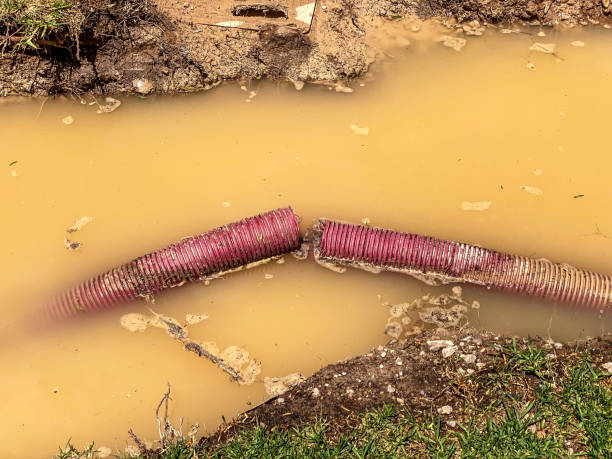 Best Local water damage restoration  in Angier, NC